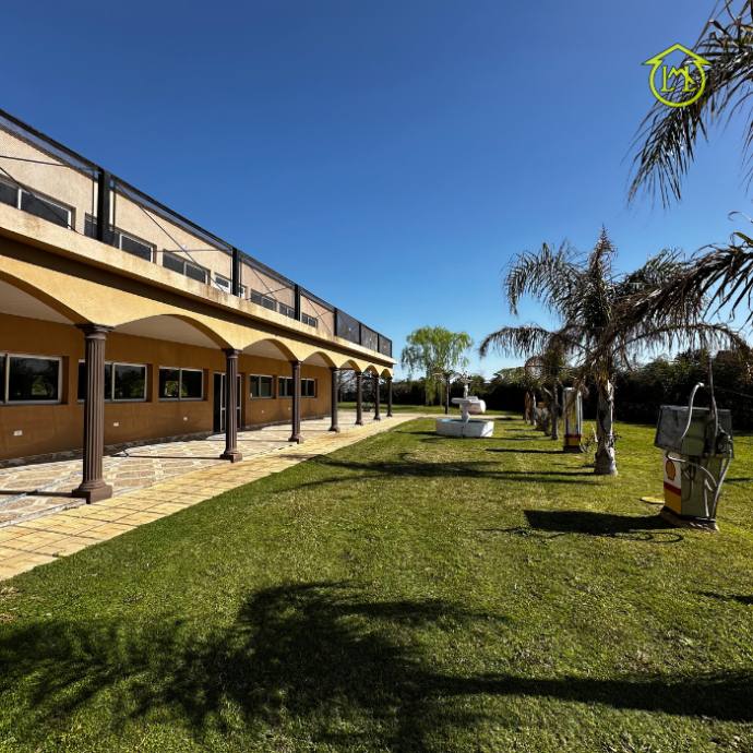 Sin título (700 × 700 px) (85)