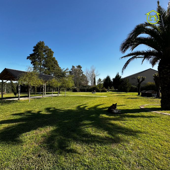 Sin título (700 × 700 px) (97)